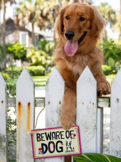 Metal Fence Sign - Beware of Dog