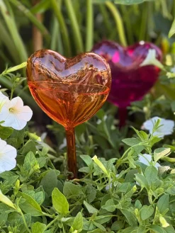 Self Watering Glass Globes, Set of 2 - Heart