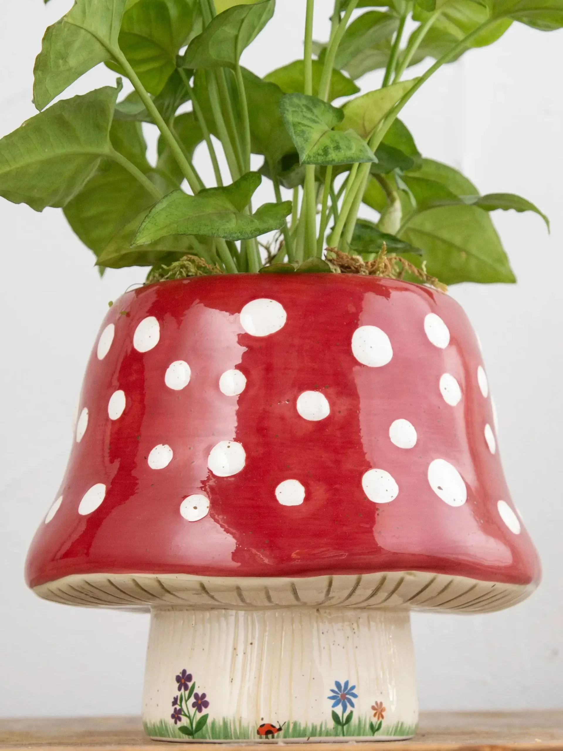 So Cute Ceramic Planter - Mushroom