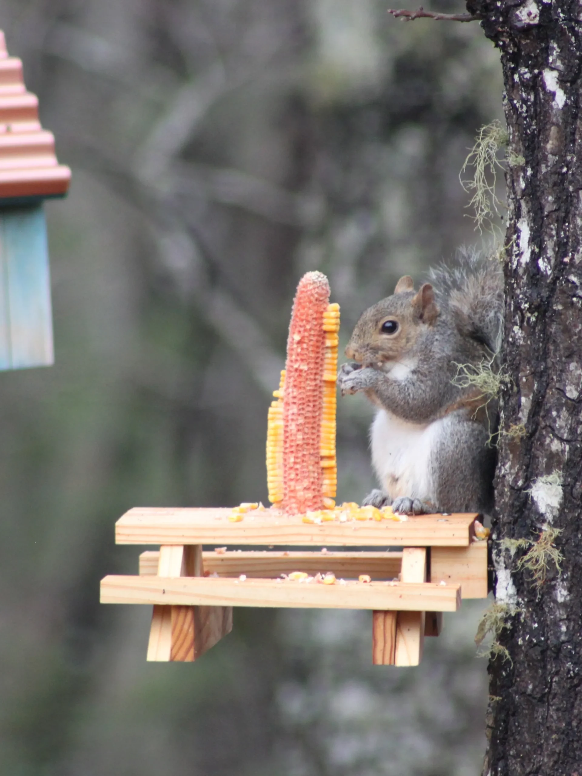 Squirrel Picnic Table